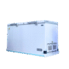 golden freezer 18 foot double door (3) مجمدة كولدن 18 قدم 2 باب ابيض